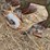 john-deere-pull-type-five-bottom-plow-image-25