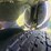 #24143-•-2019-big-tex-trailer-image-31