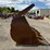 caterpillar-142”-wheel-loader-bucket-image-4