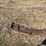 john-deere-pull-type-two-bottom-plow-image-10