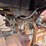 ford-9n-image-20
