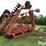 sunflower-1543-38-image-3