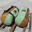 walsh-saddle-tanks-46333-image-2