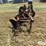 international-412-image-2