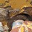 #24826-•-dozer-parts-image-8