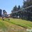 peck-1003-image-5