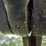 barko-595b-image-96