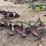 john-deere-three-bottom-three-point-plow-image-6