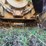2002-caterpillar-d6r-image-69