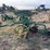 john-deere-pull-type-two-bottom-plow-image-7