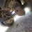 2016-wilkens-walking-floor-image-41