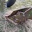 john-deere-pull-type-three-bottom-plow-image-34