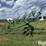 wheel-rake-image-4