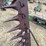 john-deere-sickle-bar-mower-image-21