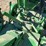 john-deere-model-b-image-43