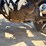 2016-freightliner-122sd-image-83