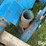 kinze-800-image-11