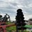 case-ih-496-image-19