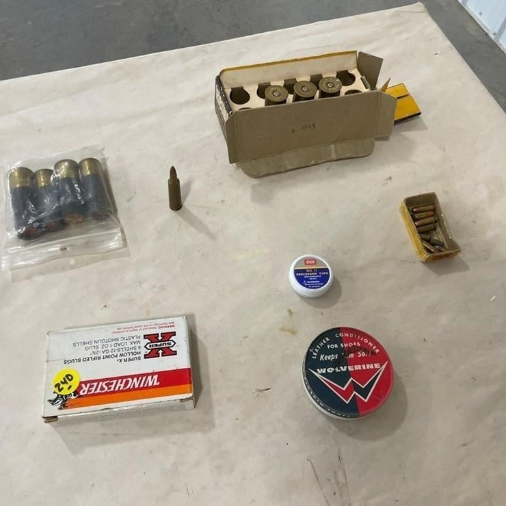 12ga Ammo & misc
