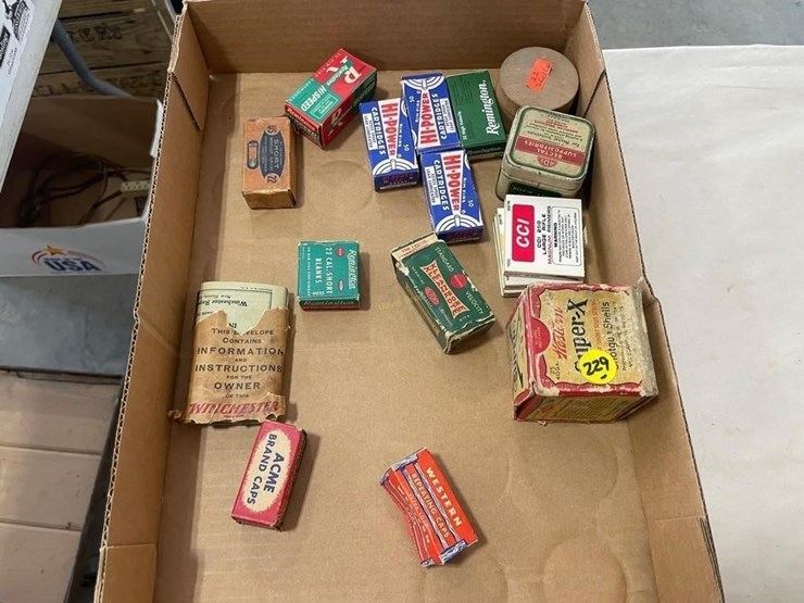 misc-old-22cal-ammo-image-1