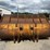 caterpillar-142”-wheel-loader-bucket-image-3