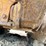 1992-caterpillar-d8n-image-114