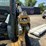 2007-caterpillar-257b2-image-14