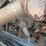 #24861-•-1988-freightliner-flc-dump-truck-image-48