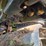 2015-caterpillar-521b-image-73