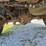 2012-ford-f150-image-91