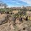john-deere-pull-type-three-bottom-plow-image-9