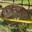 john-deere-5-image-10