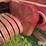 massey-ferguson-12-image-19