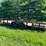 #24143-•-2019-big-tex-trailer-image-7