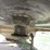 2007-timpte-grain-trailer-image-12