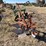 john-deere-three-point-two-bottom-plow-image-7