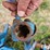 electro-spray-3-pt-livestock-mister/sprayer-image-9