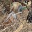 john-deere-pull-type-four-bottom-plow-image-17