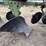john-deere-pull-type-four-bottom-plow-image-15