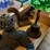 cast-iron-bell,-nut-cracker,-etc-image-2
