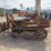 caterpillar-ten-image-6
