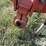 2011-kuhn-krause-4850-15-image-9