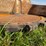 2015-caterpillar-521b-image-85
