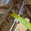 caterpillar-d6m-image-64