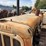 caterpillar-d2-image-11