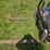 2021-new-holland-workmaster-65-image-78