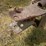 artsway-420-image-9