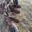 john-deere-pull-type-three-bottom-plow-image-20