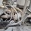 1999-caterpillar-3126-image-40