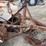 ford-8n-image-19
